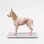 Custom Pet Companion Figurine