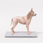 Custom Pet Companion Figurine