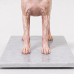 Custom Pet Companion Figurine